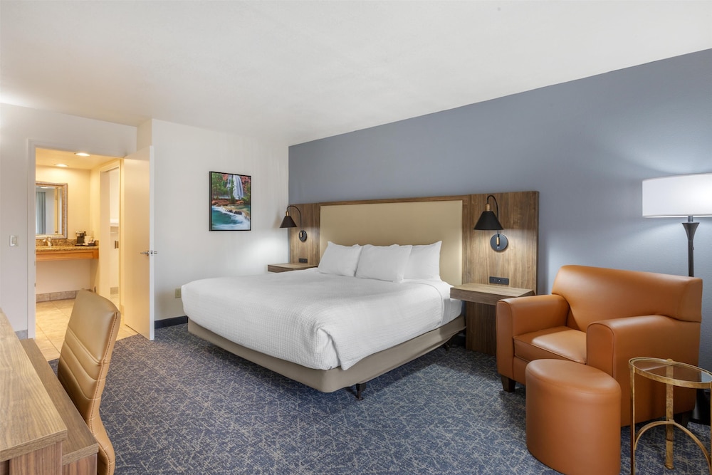 STANDARD, KING BED, ACCESSIBLE