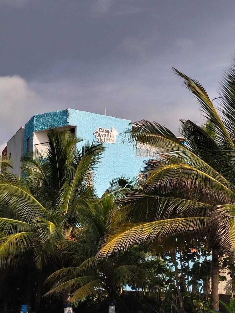 Hotel Avadia Del Mar 44/49