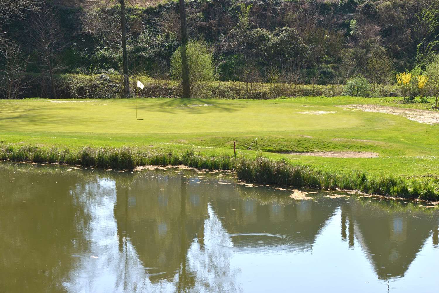Golf D albon 18/23