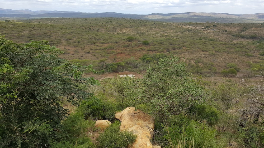 Rhino Ridge Safari Lodge 37/50