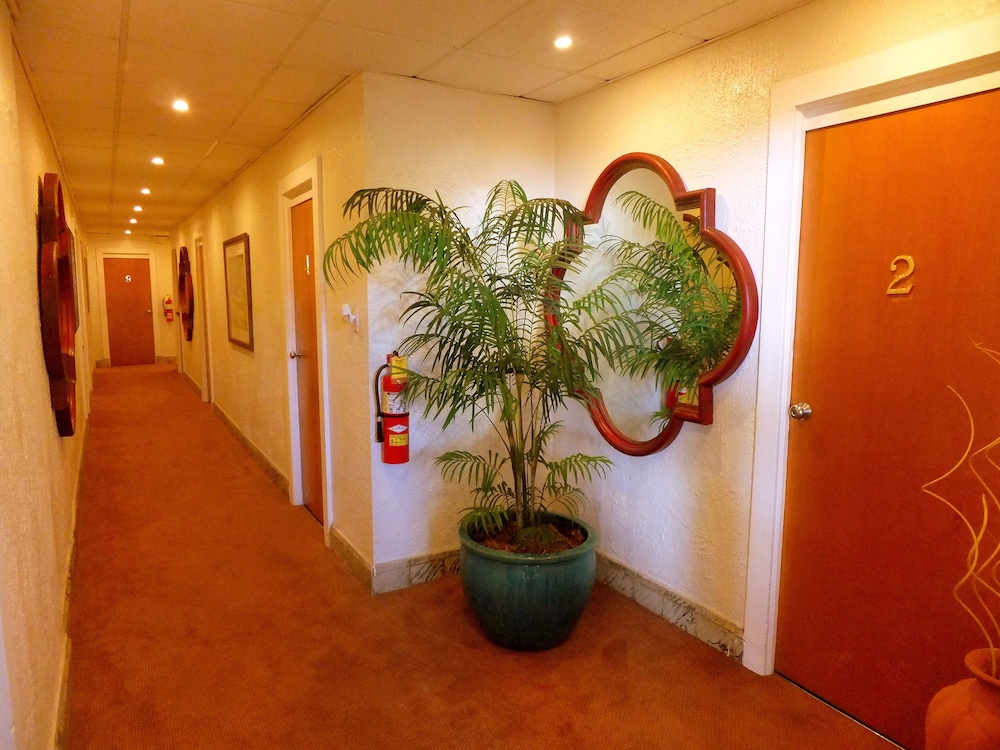 Casa Del Caribe Bed Breakfast 15/46