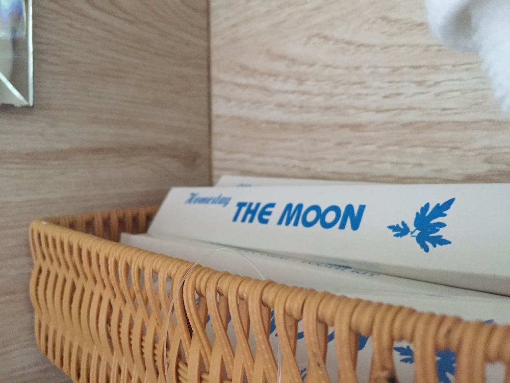 The Moon别墅Hoi An(The Moon Villa Hoi An) 图片2