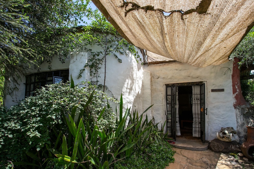 Punda Milias Camp Nakuru 43/50