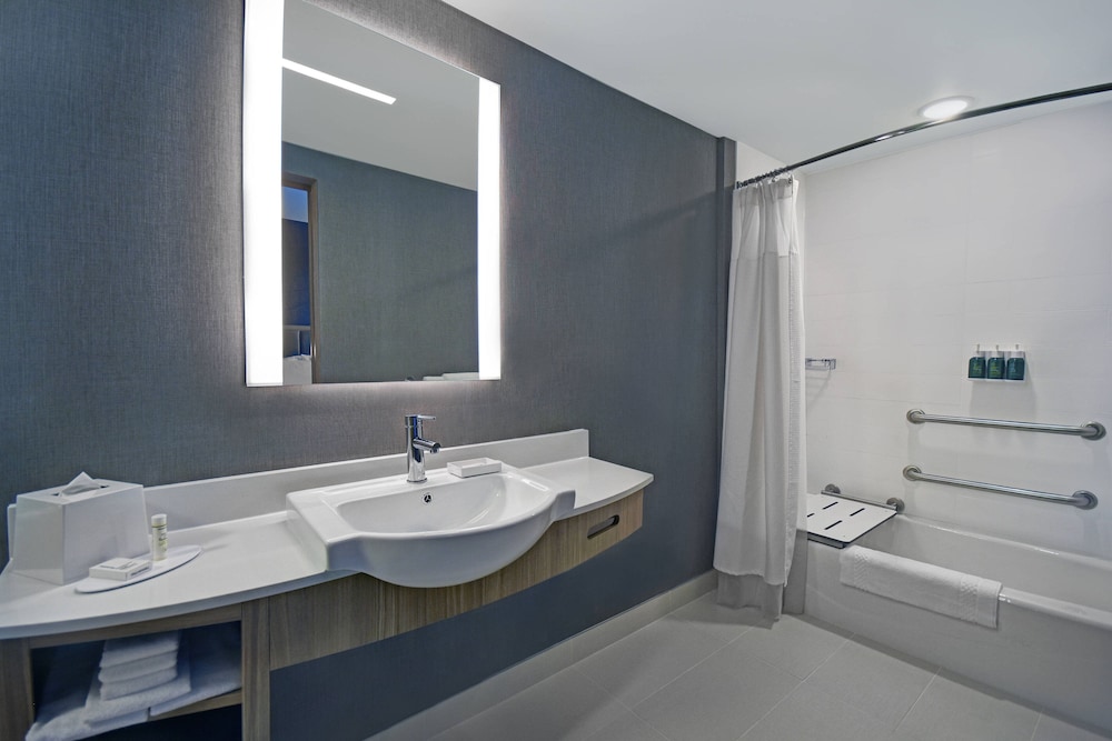 SpringHill Suites by Marriott St. Paul Arden Hills 19/52