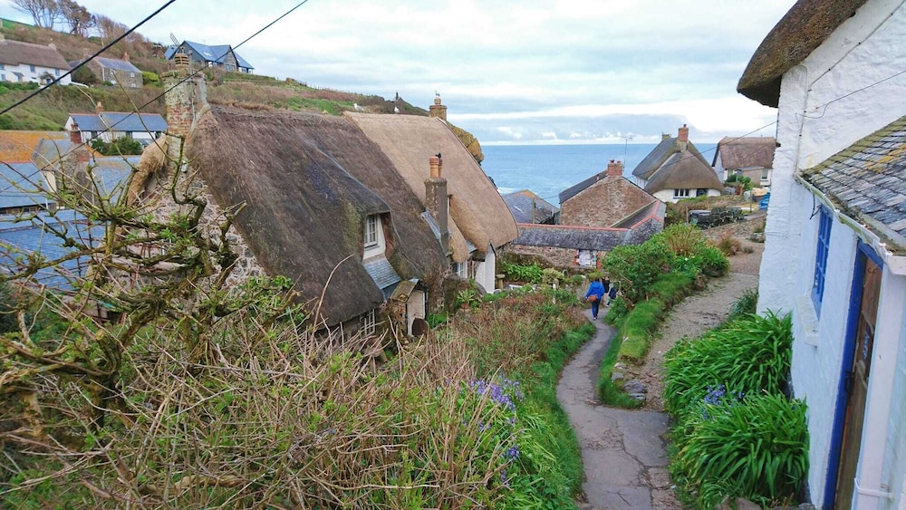 Cadgwith Cove Inn 41/50