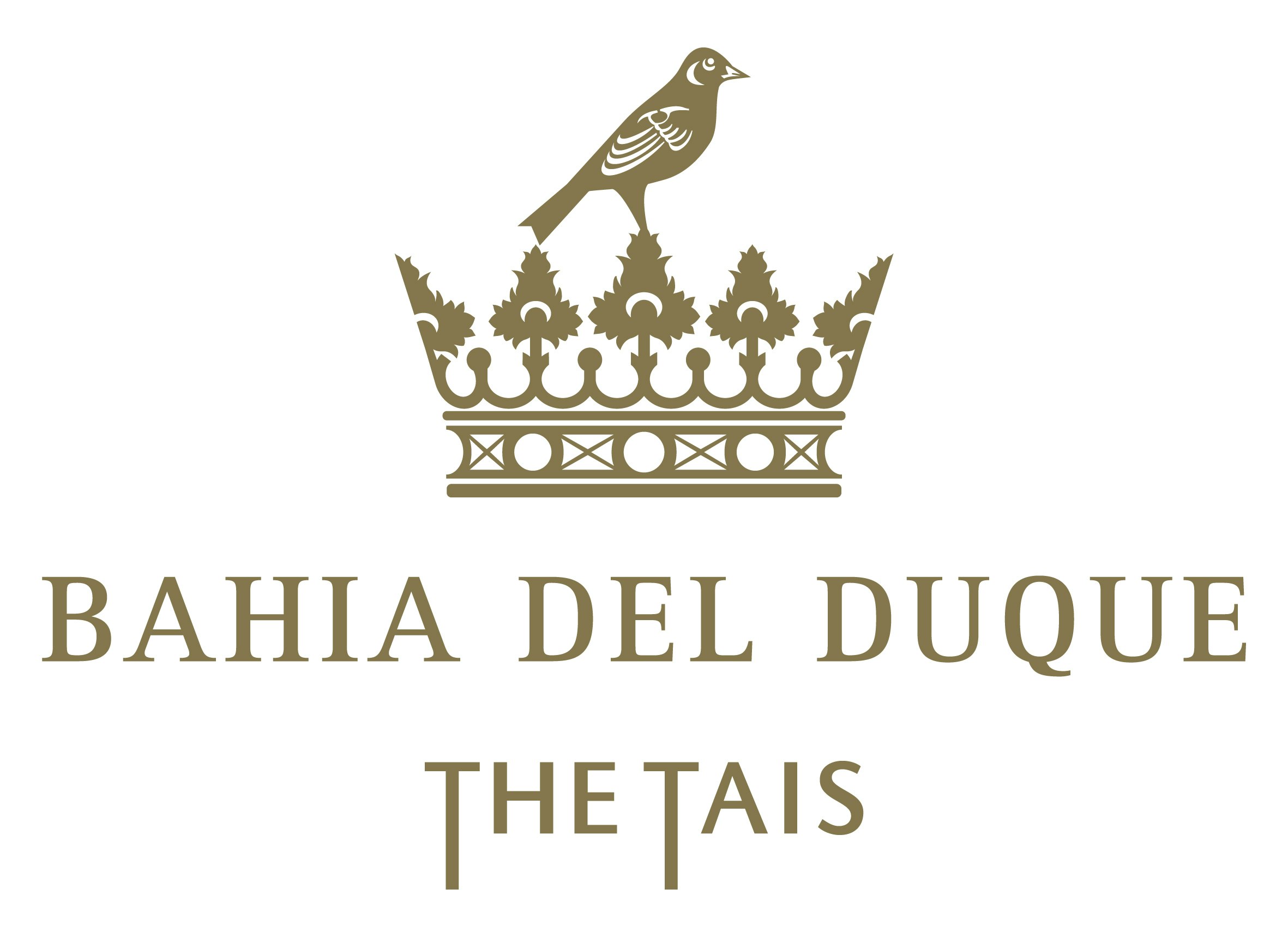 Bahia del Duque 4/84