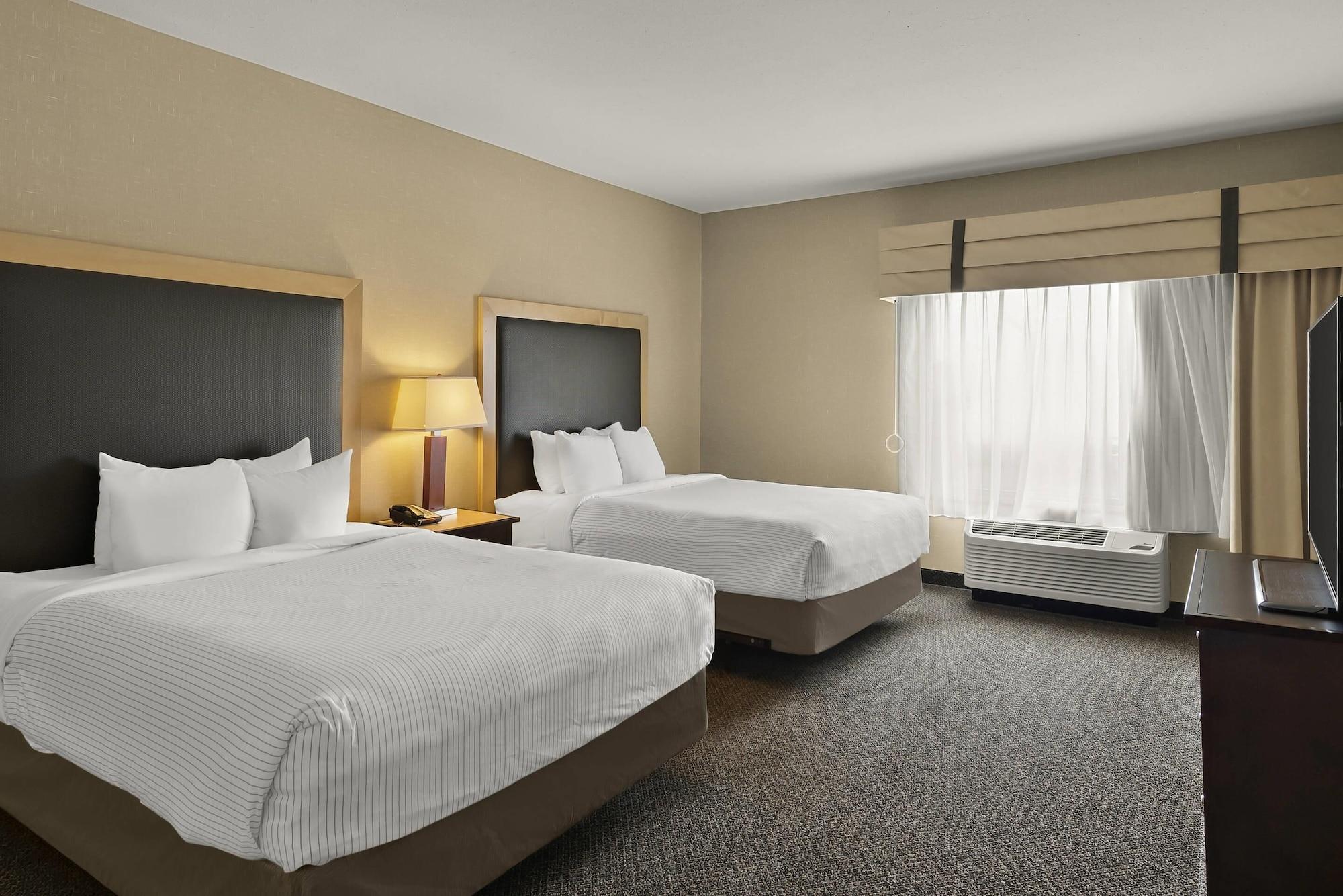 Suite, Multiple Beds