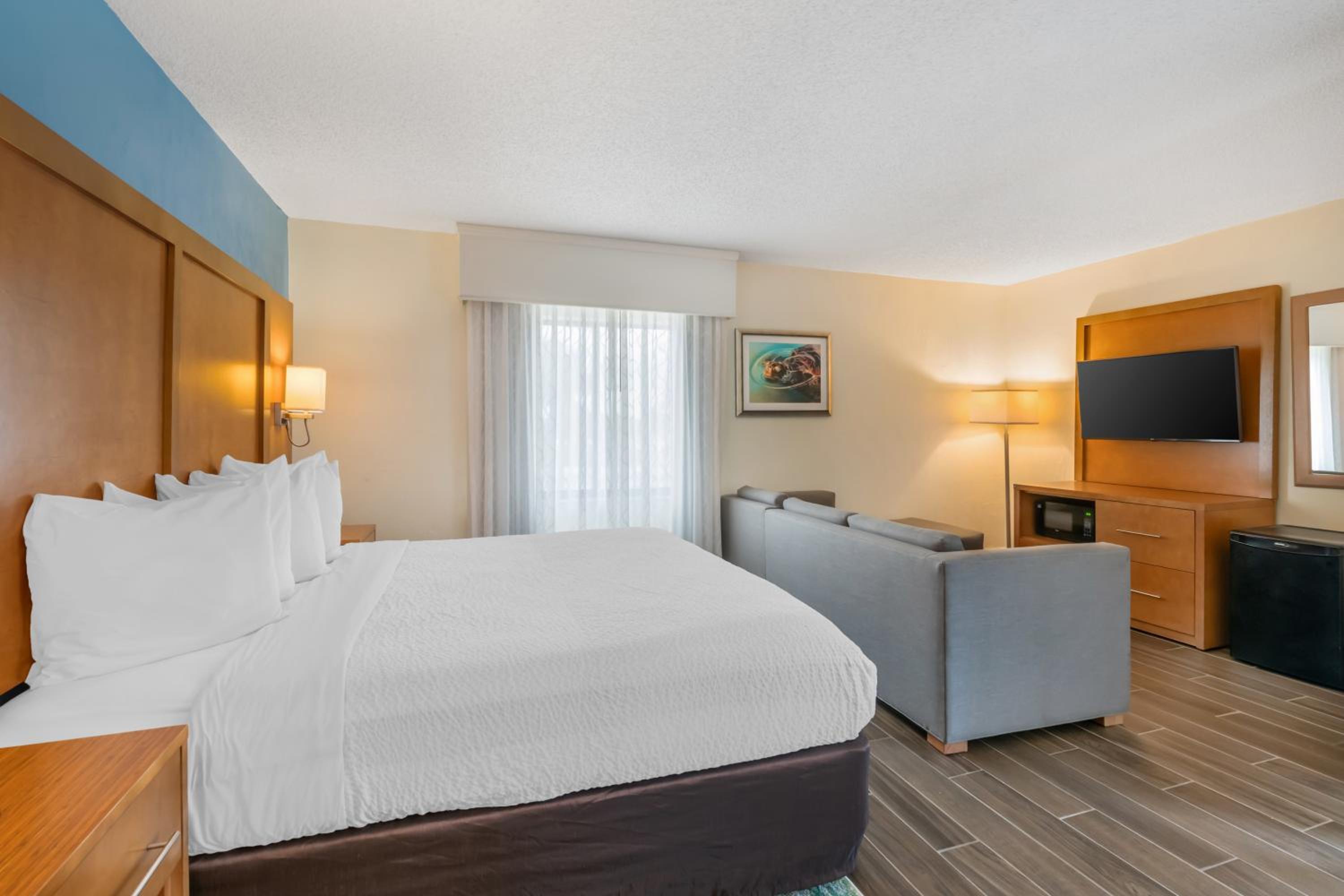 Partial Oceanview 1 King Room