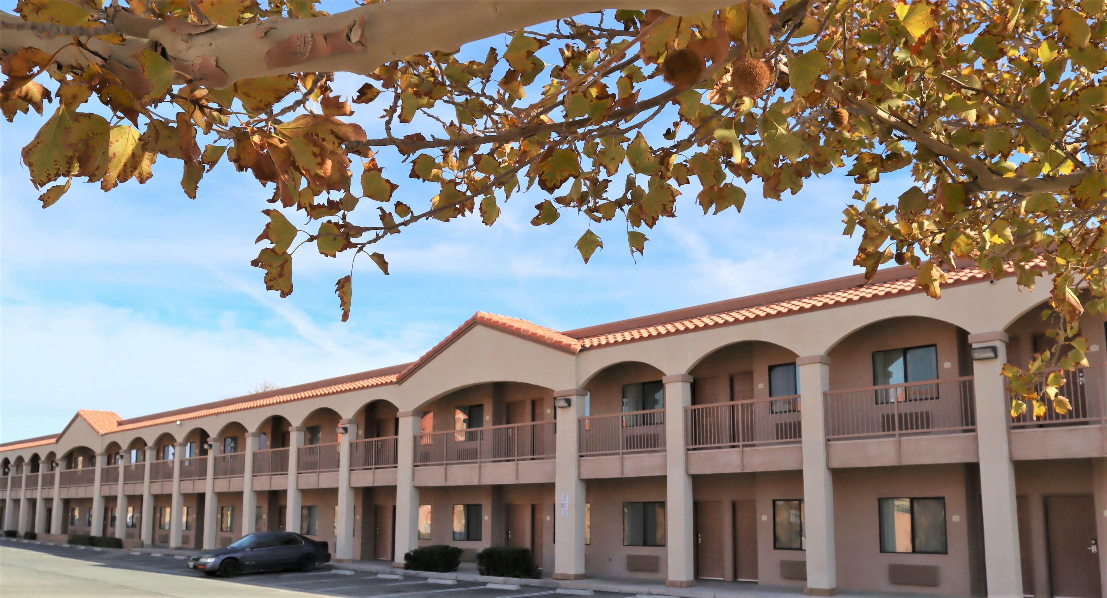 Starlight Inn Joshua Tree 29 Palms 1/43