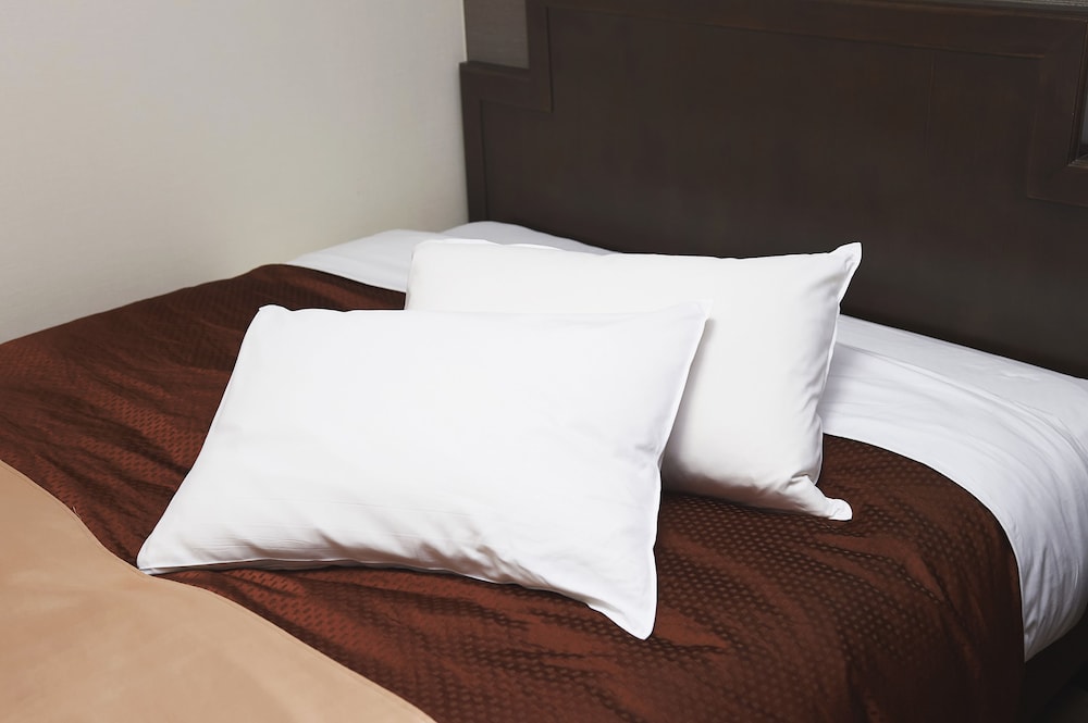 Hotel Sealuck Pal Takasaki 19/32