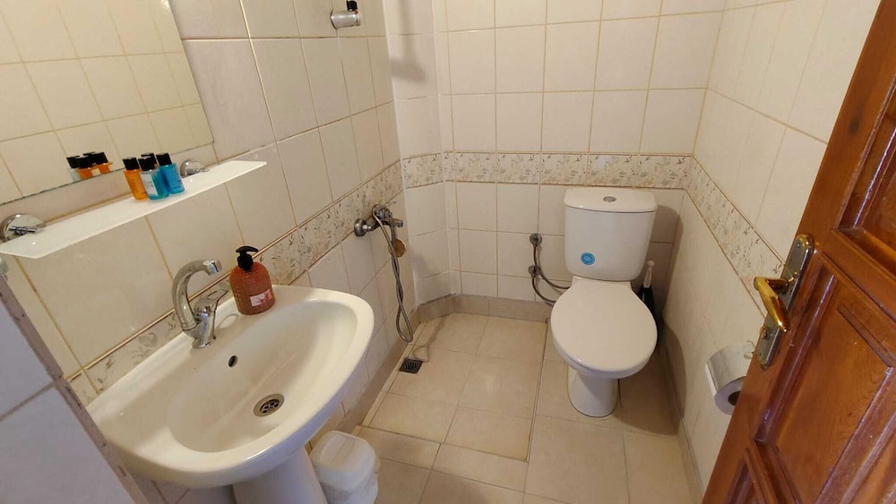 Hotel Palma Rosa 49/50