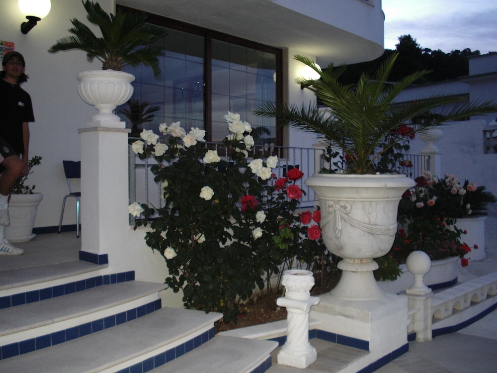 HOTEL ORCHID 13/57