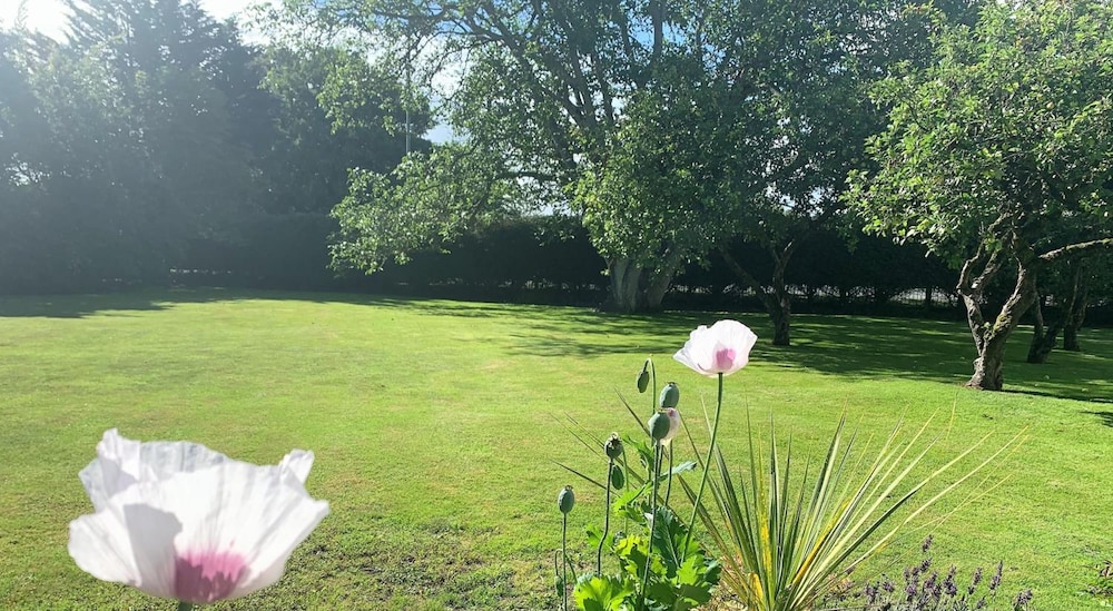 Hope Orchard Bed & Breakfast 30/46