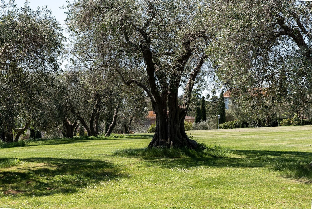 LOCANDA POGGIOLEONE 67/71