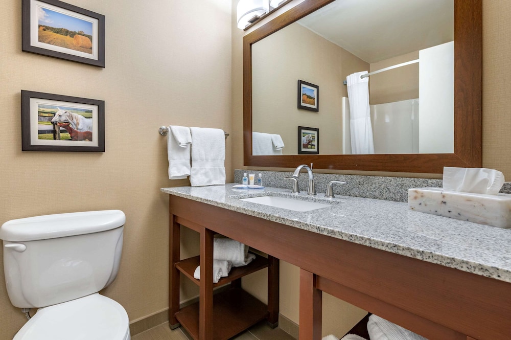 Comfort Inn & Suites Northern Kentucky 45/48