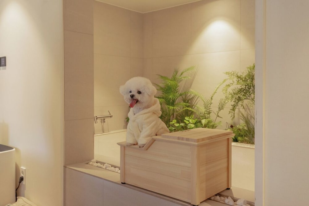 Mix Motel Jeonju 8/97