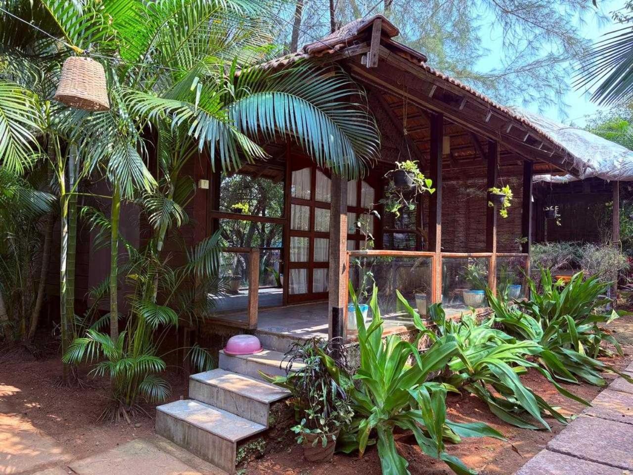 The Bay Agonda 2/50