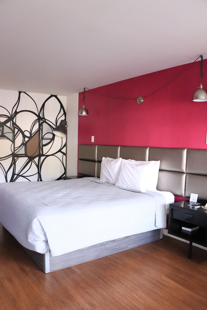 University Inn 16/40