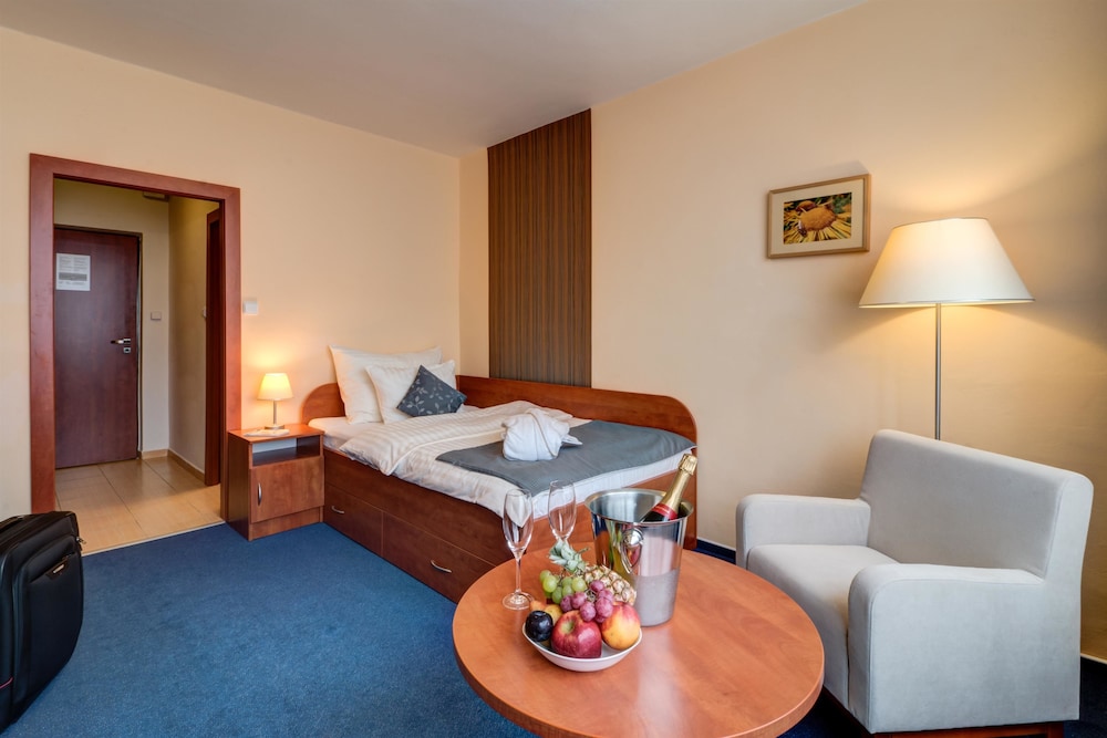 Best Western Hotel Vista 33/44