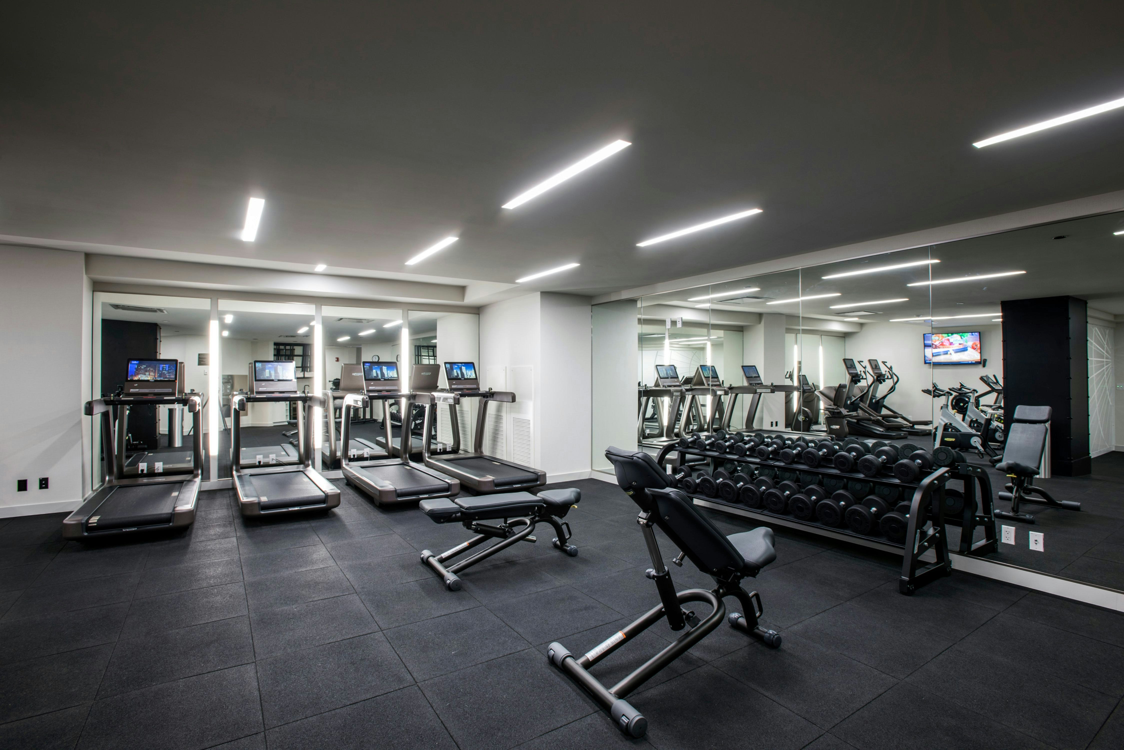 Londonhouse Chicago Curio Collection By Hilton 20/50