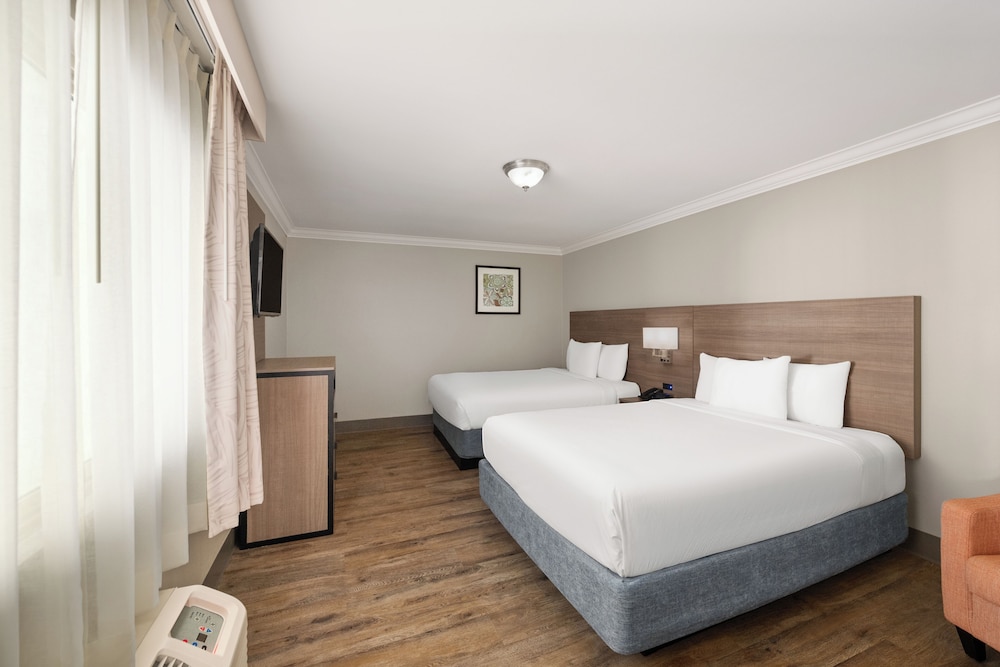 SUITE, MULTIPLE BEDS