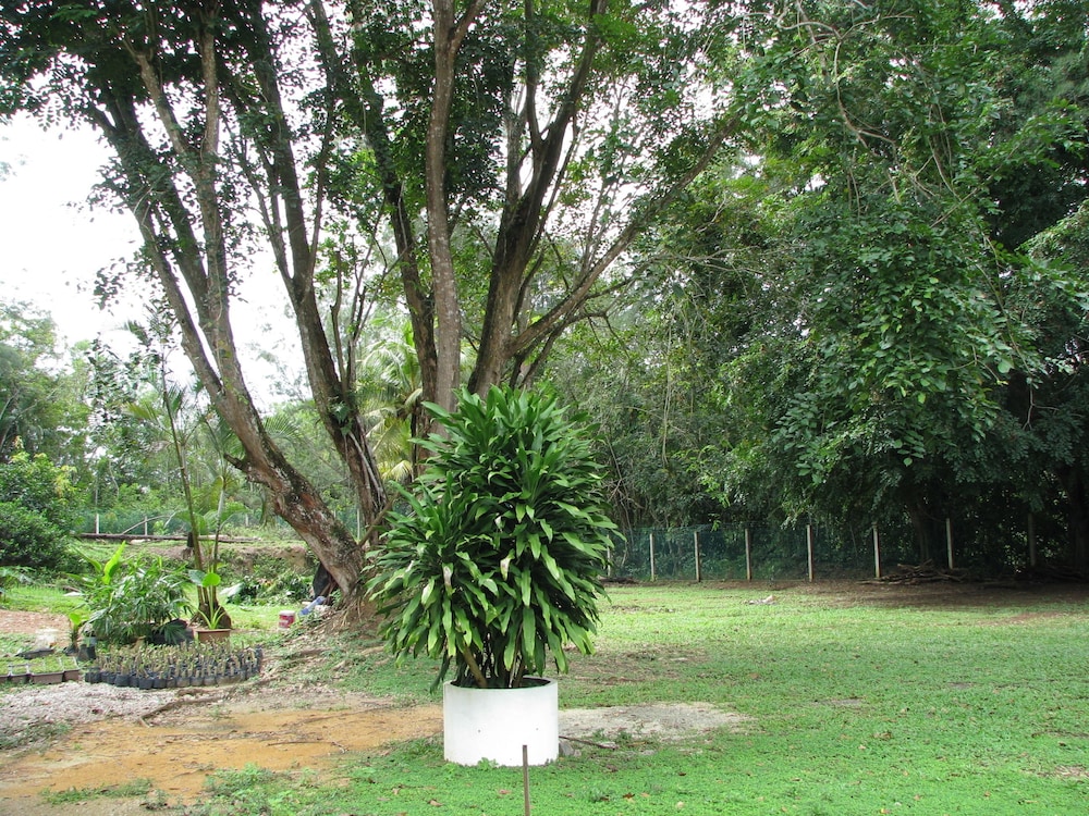 Mersing Merlin Inn 39/50