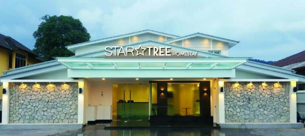 Star Tree Homestay 1/33