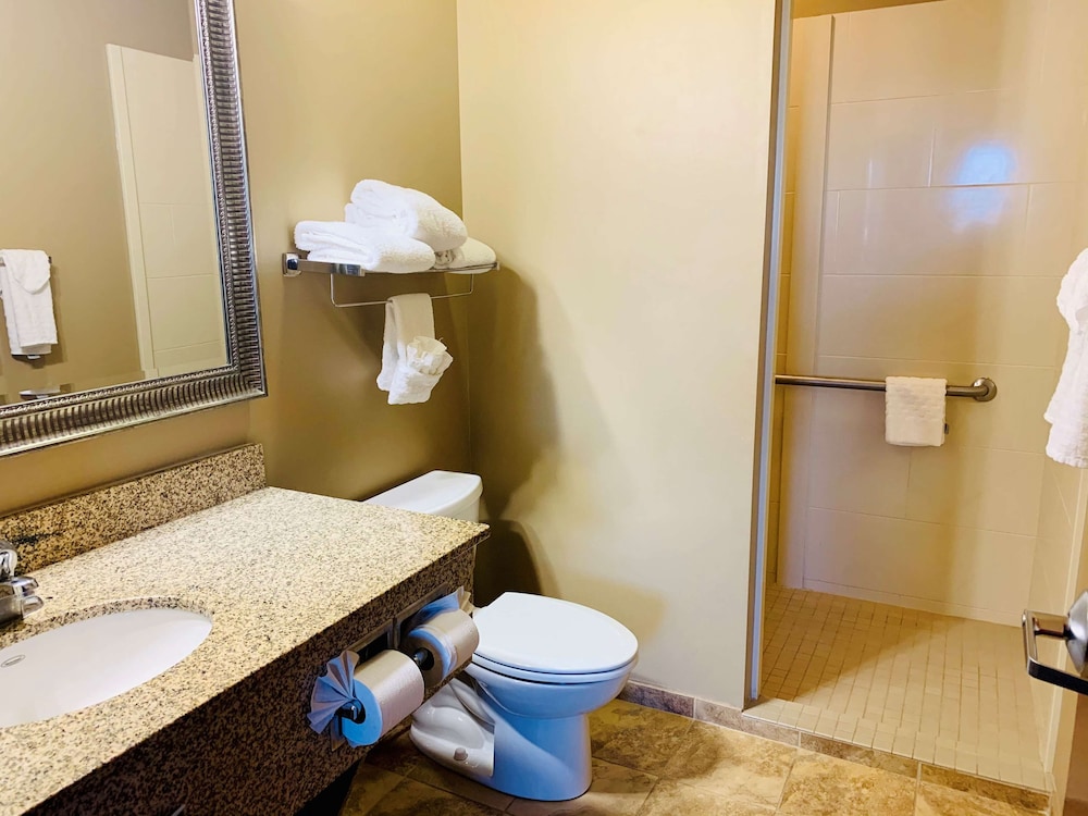 Best Western Golden Prairie Inn & Suites 16/38