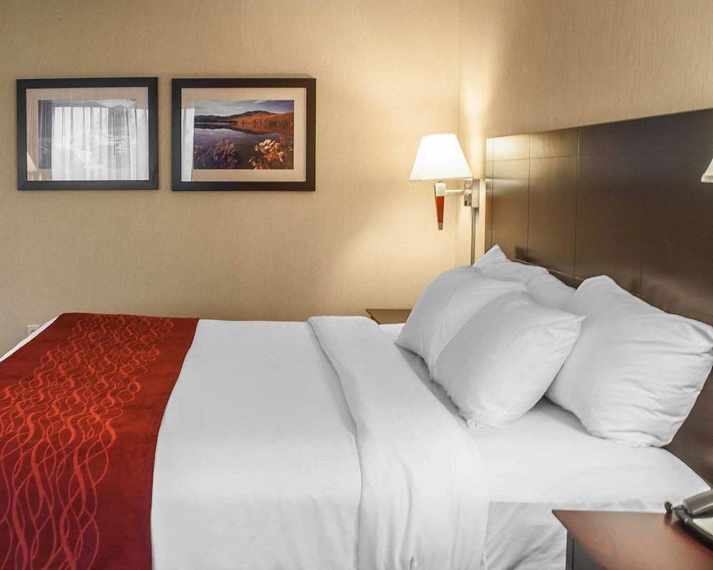 Comfort Inn & Suites Watertown - 1000 Islands 24/54