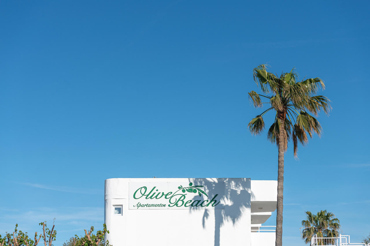 Olive Beach Apartments 2/62