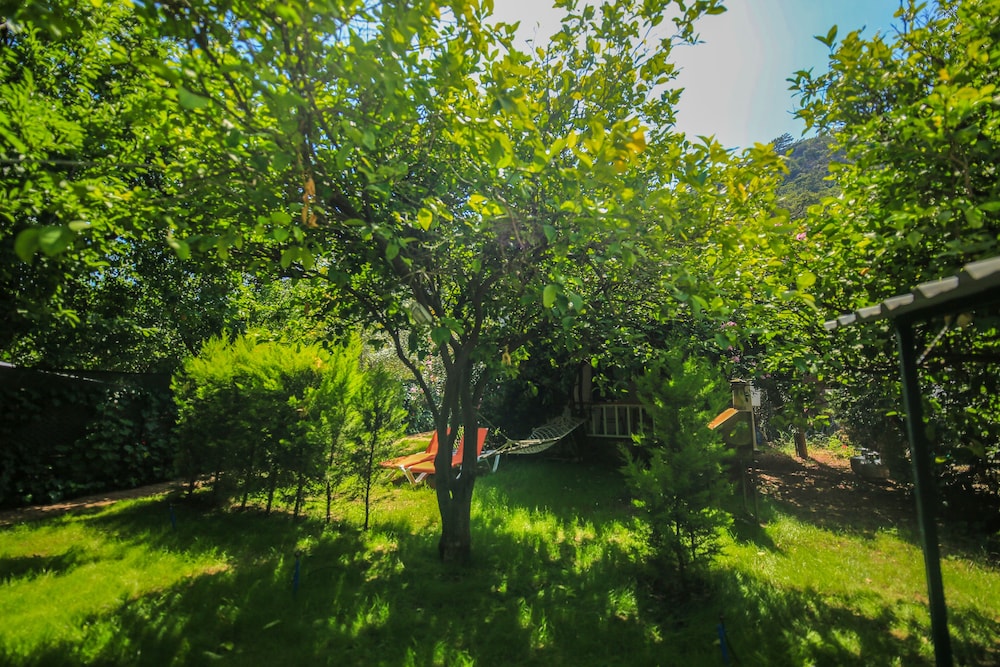 Cirali Villa Zeytin 28/50