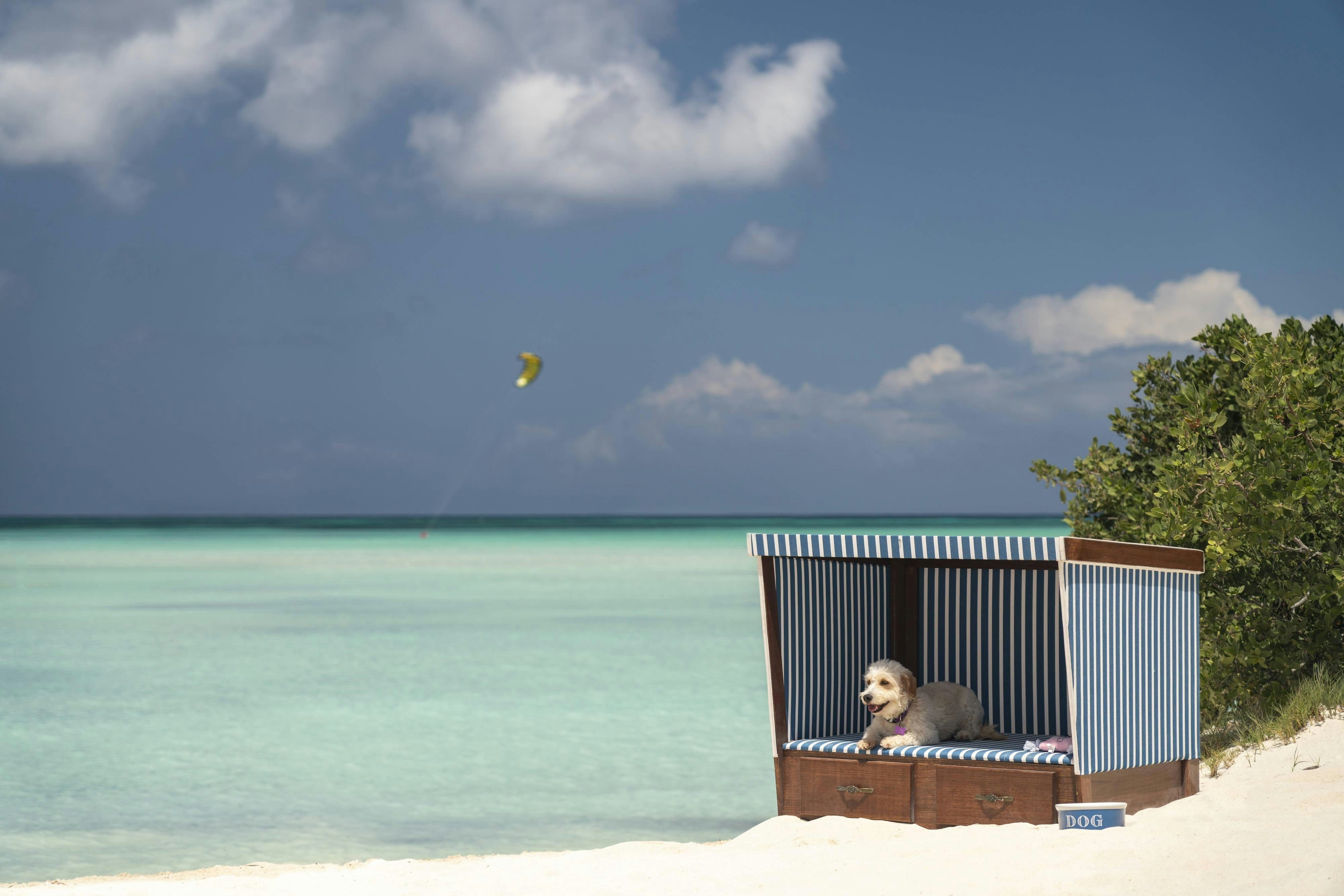 The Ritz-Carlton, Aruba 44/50