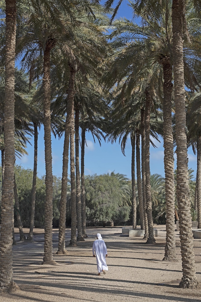 Anantara Sir Bani Yas Island Al Sahel Villa Resort 37/61
