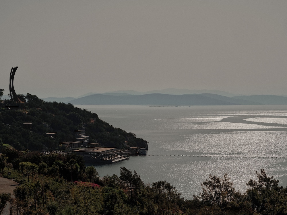 Scorpios Bodrum 31/39