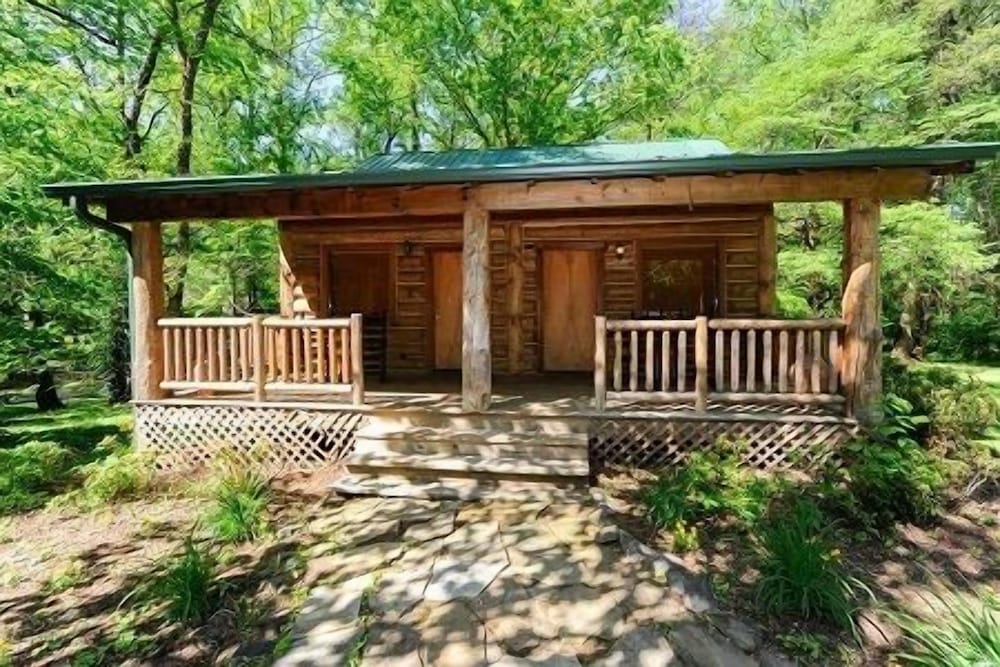 Dancing Bear Lodge 18/50