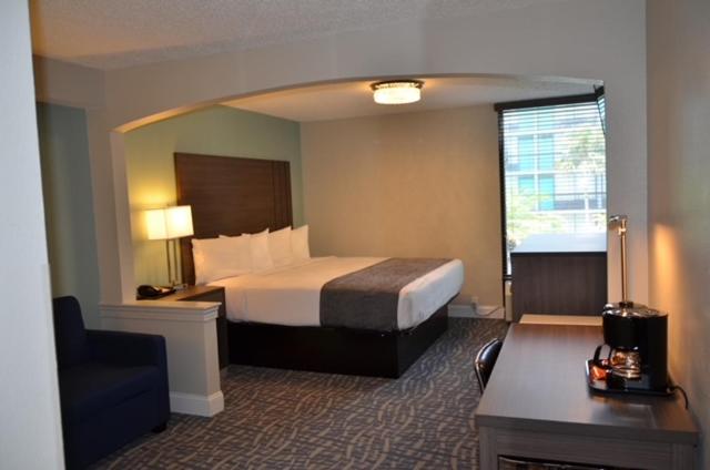 Renovated, Executive, King Bed