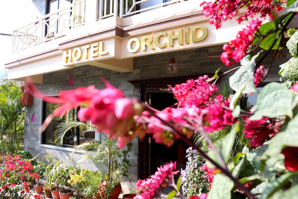 Hotel Orchid 1/59