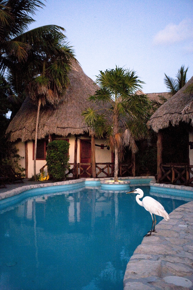 Holbox By Xaloc in CANCUN