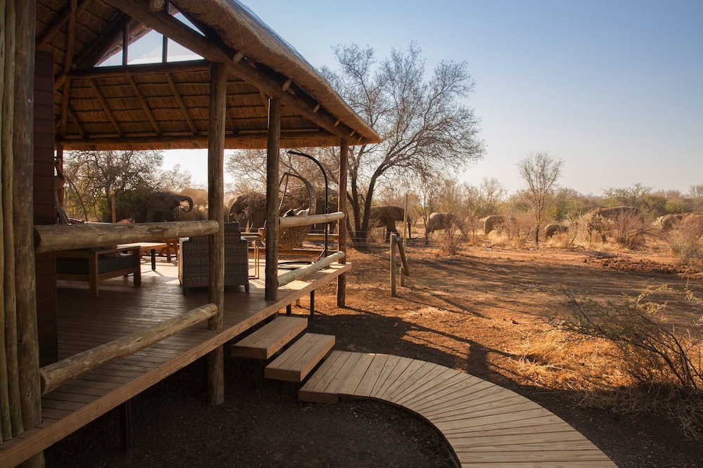 Nkala Safari Lodge 10/43