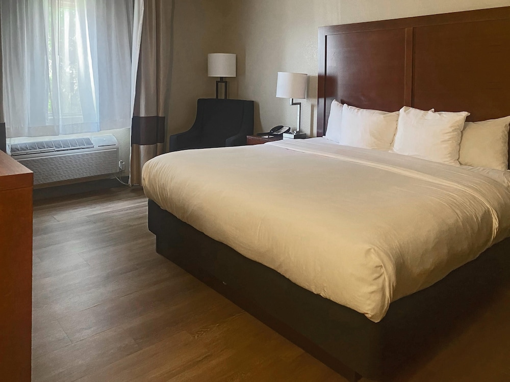 ROOM, KING BED