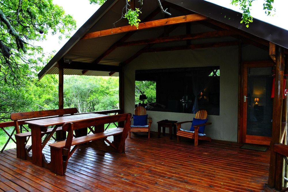 Lion Tree Top Lodge 19/36