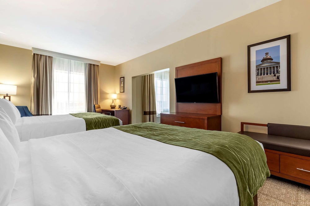 Comfort Inn & Suites Orangeburg 9/36