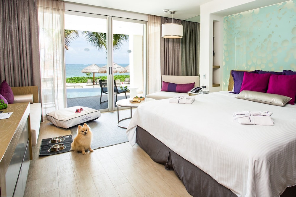 Breathless Riviera Cancun Resort & Spa - Adults Only 17/77