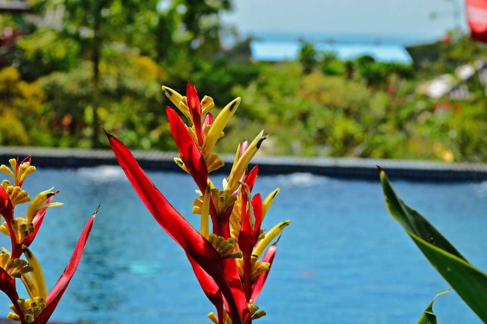Atmaland Resort 37/66