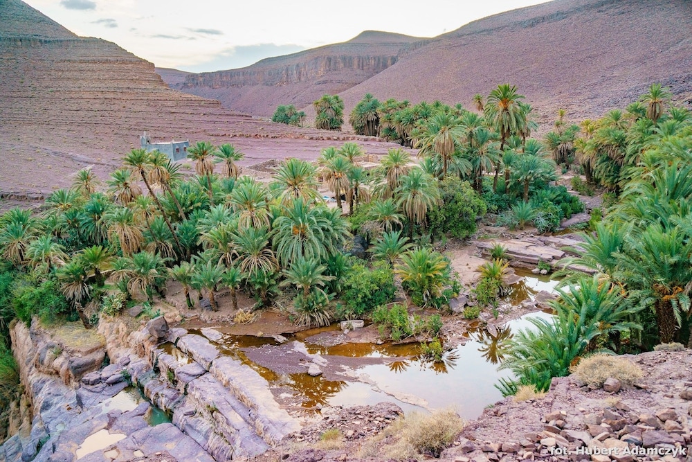 Ecolodge Ouednoujoum 51/52