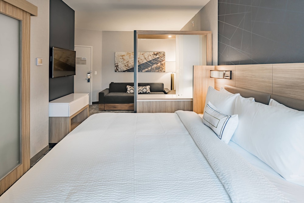 Springhill Suites By Marriott Dallas Mckinney/Allen 10/30