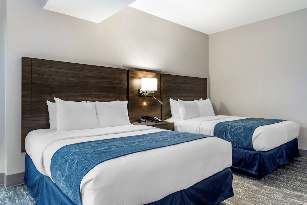 Comfort Suites McDonough Atlanta South 4/24