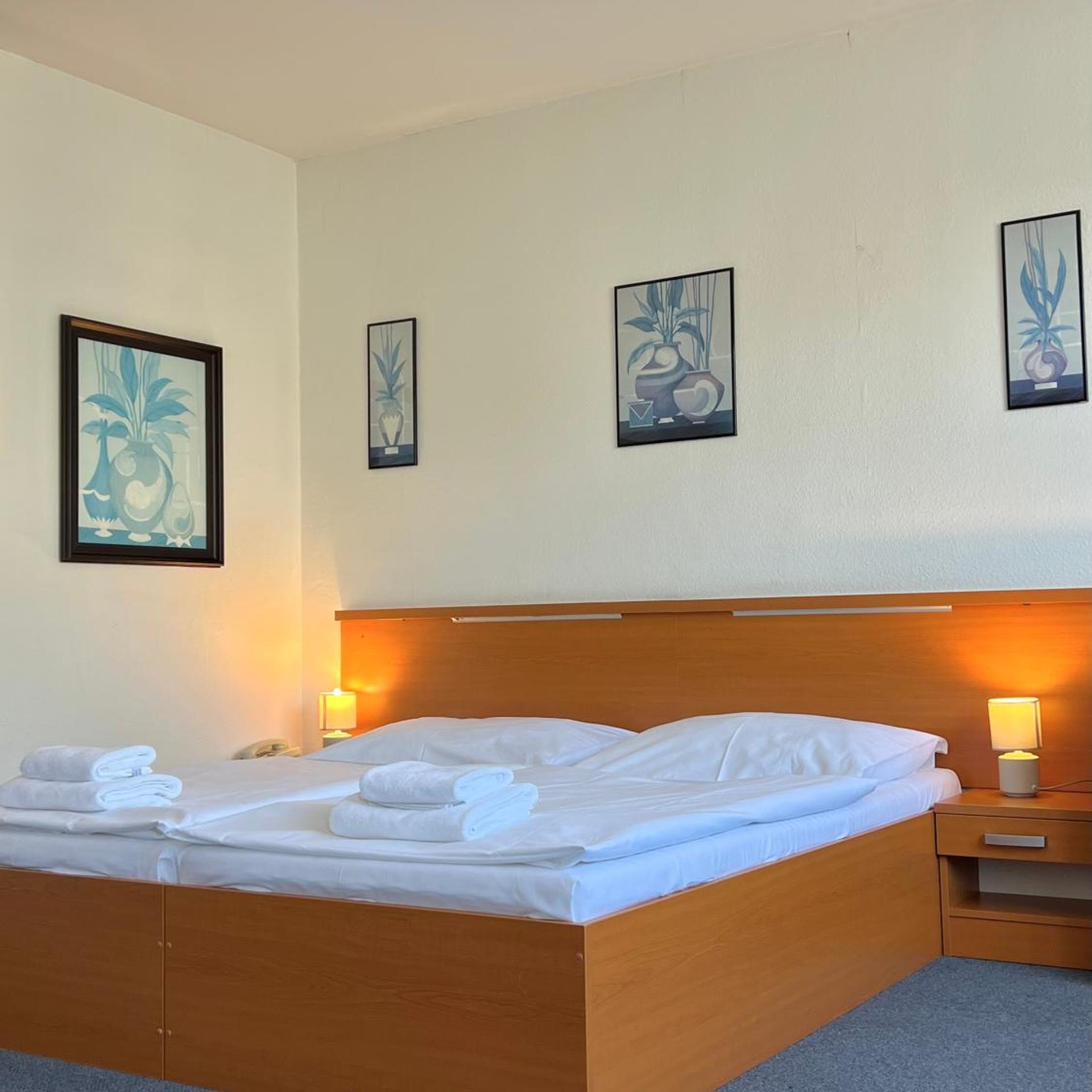 Superior, Double or Twin Bed