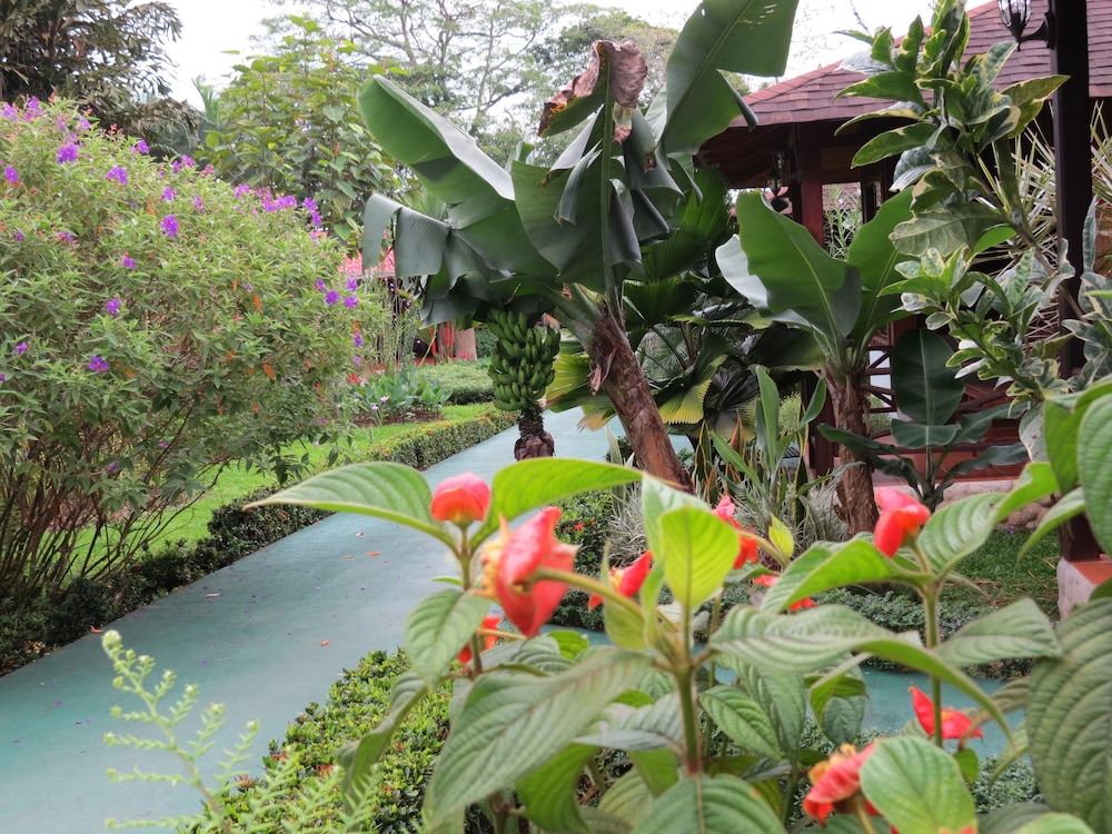Hotel Arenal Montechiari 12/26