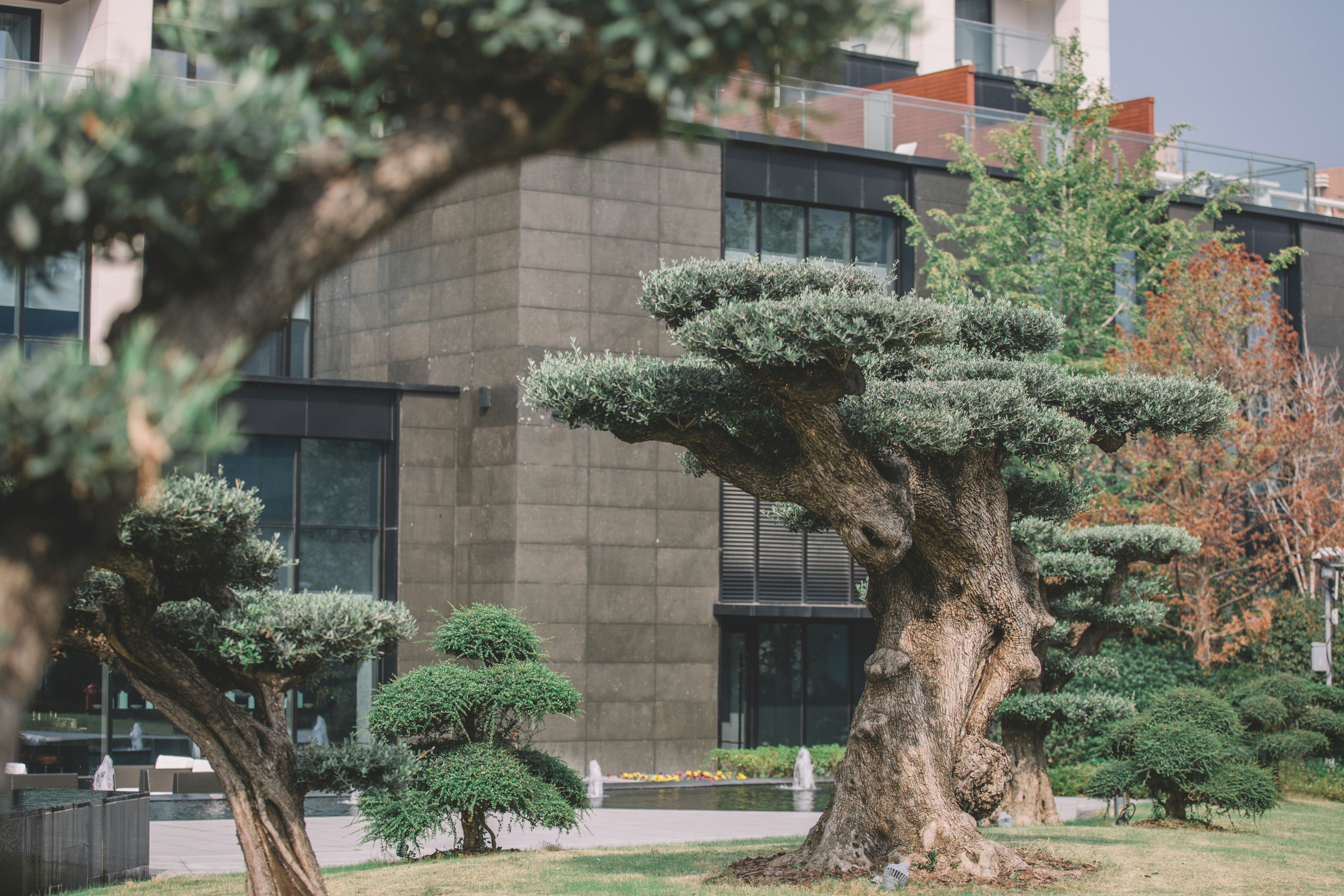 The Anandi Hotel and Spa Shanghai 6/50